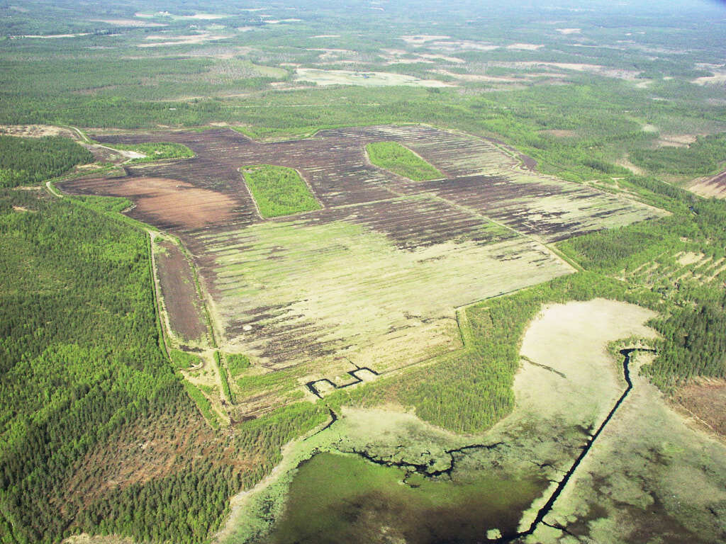 En flygbild som visar Träskmyran år 2003.