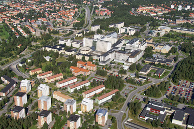 Ålidbacken, Sjukhusområdet och Sofiehem 2005