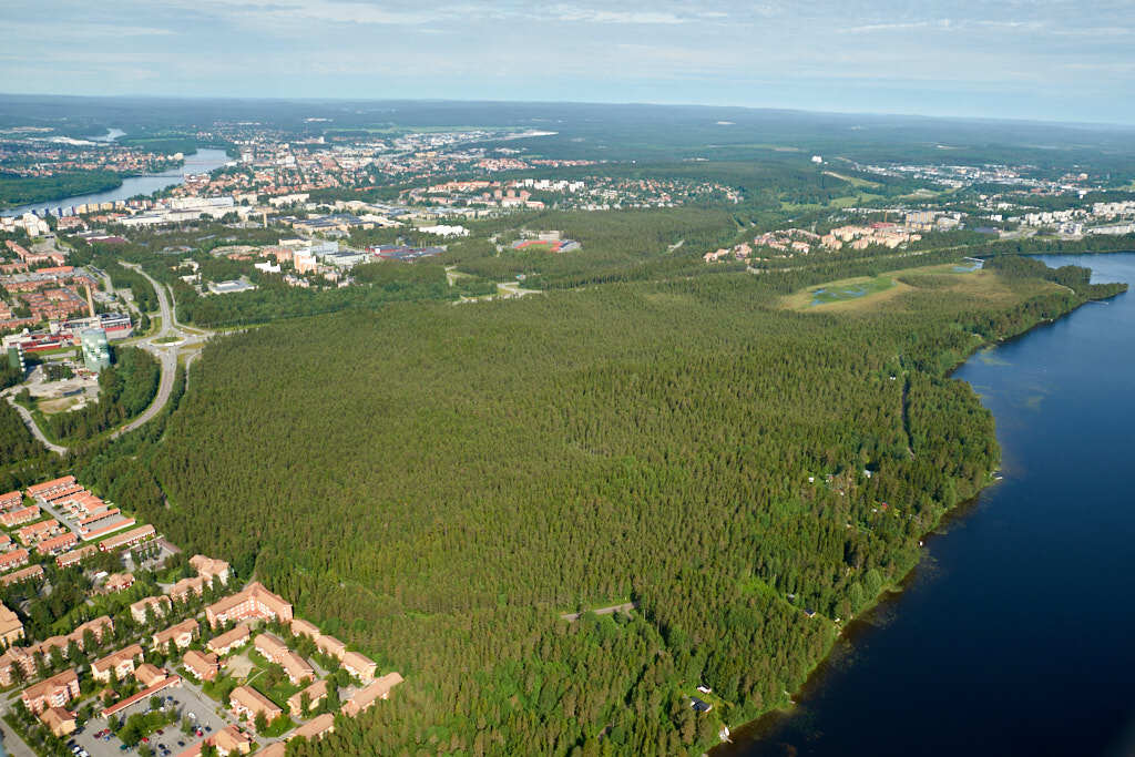 Ett flygbild av Tomtebo strand år 2015. Det erbjuder oss en helt annan möjlighet att få en djupare och mer detaljerad inblick i denna plats än vad vi normalt kan uppleva från marknivå.