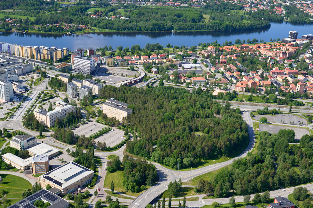 Ett bild av Hamrinsberget i Umeå år 2025. Det erbjuder oss en helt annan möjlighet att få en djupare och mer detaljerad inblick i denna plats än vad vi normalt kan uppleva från marknivå.